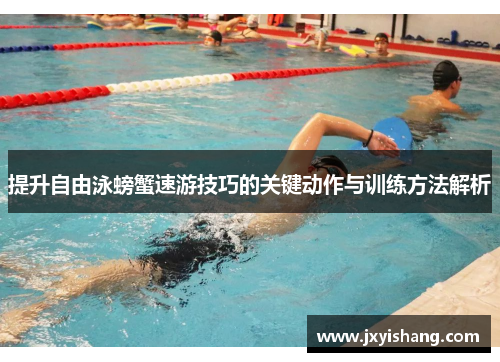 提升自由泳螃蟹速游技巧的关键动作与训练方法解析